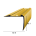 Treppenprofil flach, für PVC-Einlage, gelocht 35.0x51.0mm, gold eloxiert