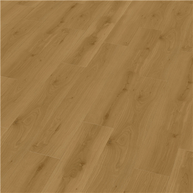 97372a72-2d1a-48a6-8605-7dd2a919c693.png
