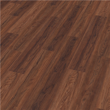 c8f3584f-bb55-42f4-884b-720c5be19171.png