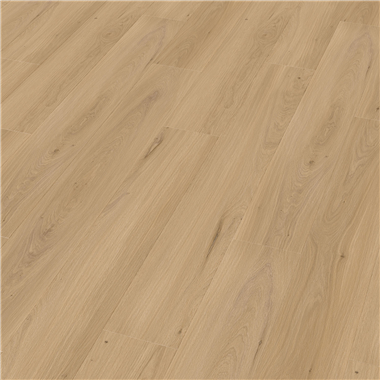097f5ca4-9a5f-457a-8c2c-020eafc245bd.png
