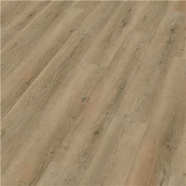c2556457-4b11-4d09-8f0e-030597f63596.png