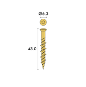 SCREASY solo – vite con sistema Torx 6.3x43mm, ottonata Vite senza tassello, incl. punta per cacciavite e trapano