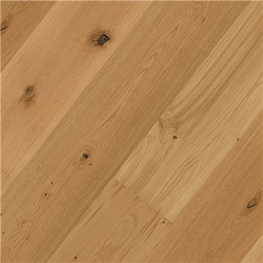 31c24b55-a132-4d9d-bdf0-409cc479c040.png