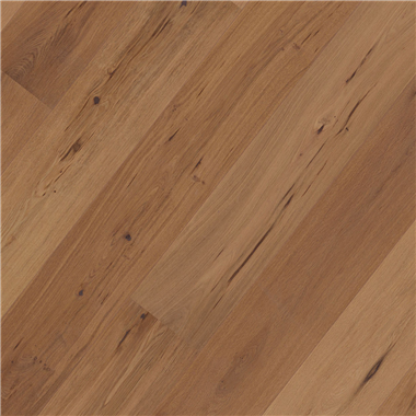 93d4b069-7a2f-4752-9f8c-b556e6abcbb2.png